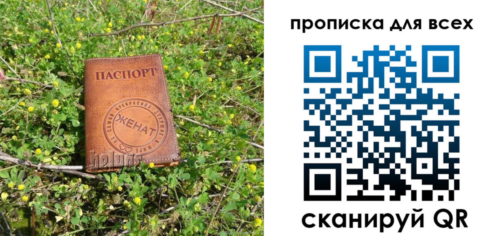 прописка поиск в Нелидово